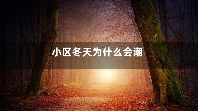 小区冬天为什么会潮