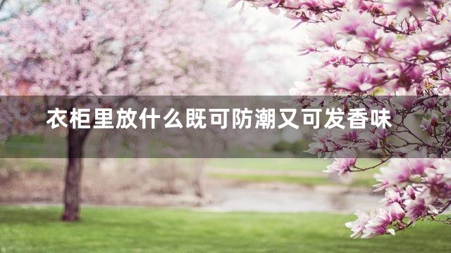 衣柜里放什么既可防潮又可发香味