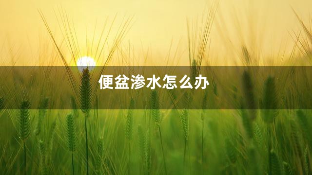 便盆渗水怎么办