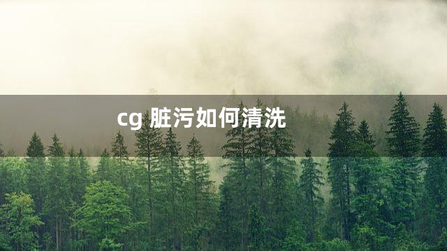 cg 脏污如何清洗