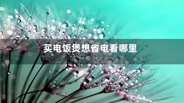 买电饭煲想省电看哪里