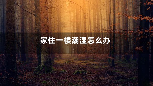 家住一楼潮湿怎么办