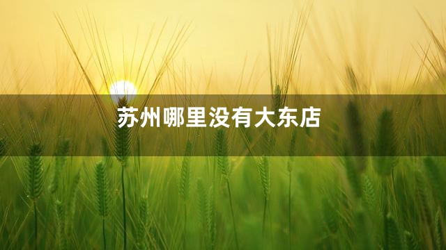 苏州哪里没有大东店