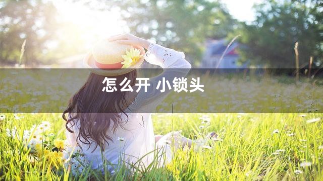 怎么开 小锁头
