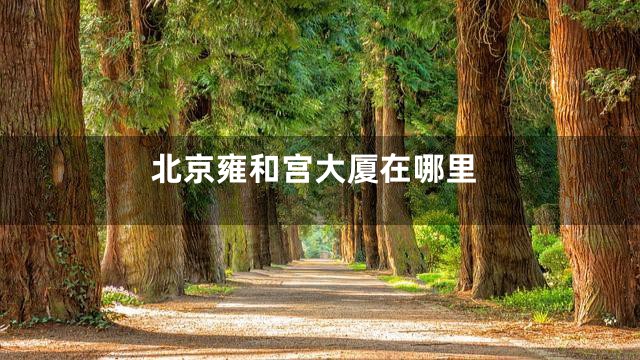 北京雍和宫大厦在哪里