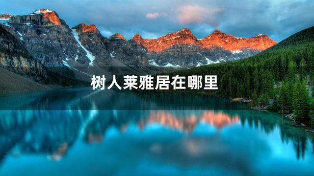 树人莱雅居在哪里