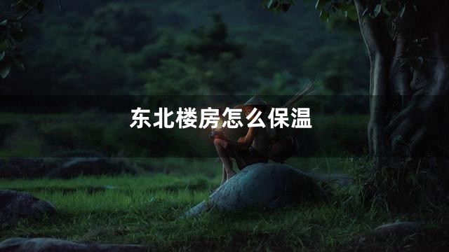 东北楼房怎么保温