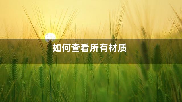 如何查看所有材质