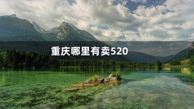 重庆哪里有卖520