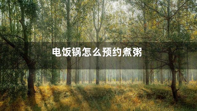 电饭锅怎么预约煮粥