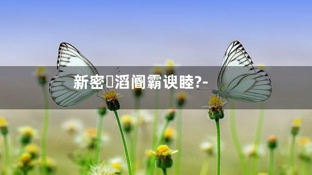 新密滔阍霸谀睦?-