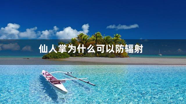 仙人掌为什么可以防辐射