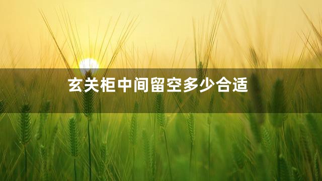 玄关柜中间留空多少合适