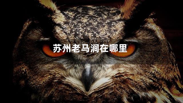 苏州老马涧在哪里
