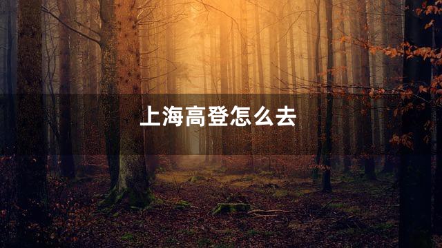 上海高登怎么去