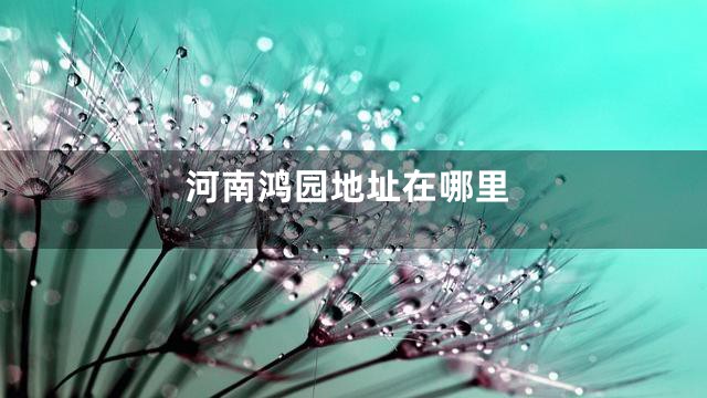 河南鸿园地址在哪里