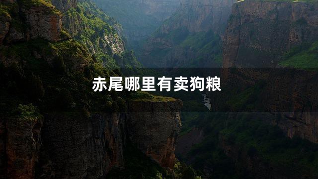 赤尾哪里有卖狗粮