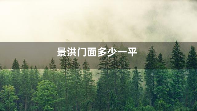 景洪门面多少一平
