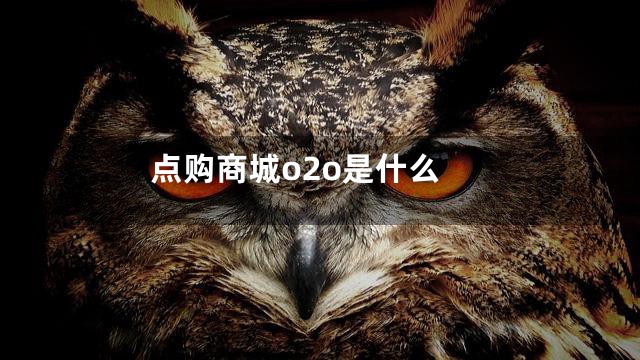 点购商城o2o是什么