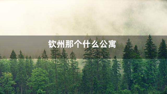 钦州那个什么公寓