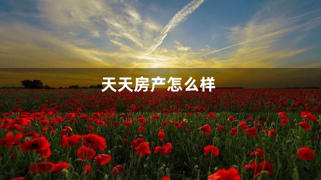 天天房产怎么样