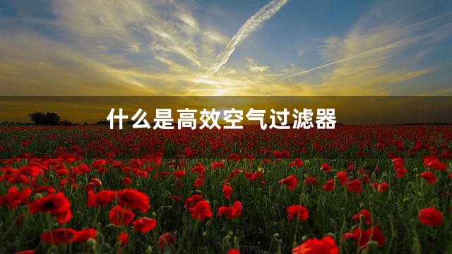 什么是高效空气过滤器