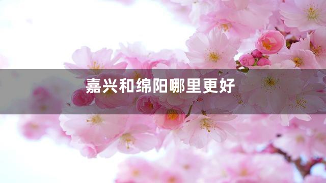 嘉兴和绵阳哪里更好