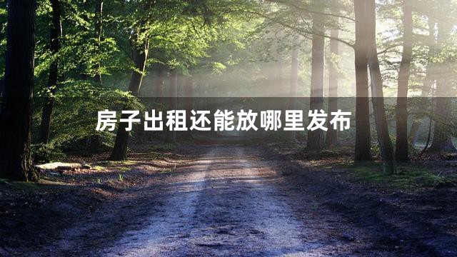 房子出租还能放哪里发布