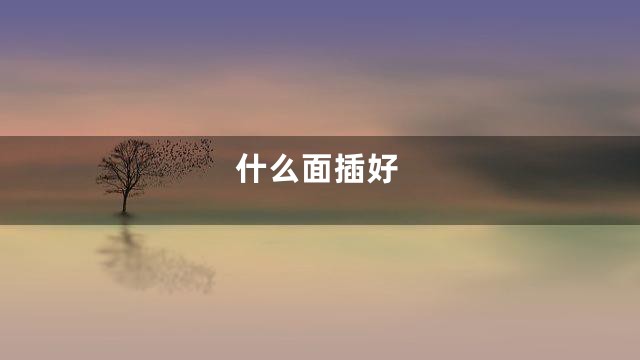 什么面插好