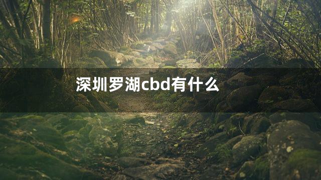 深圳罗湖cbd有什么