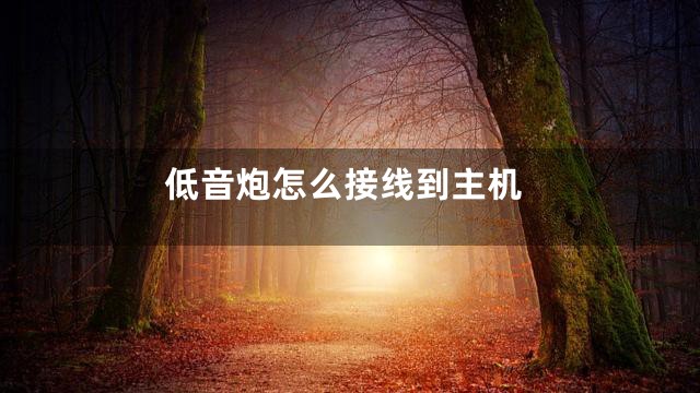 低音炮怎么接线到主机