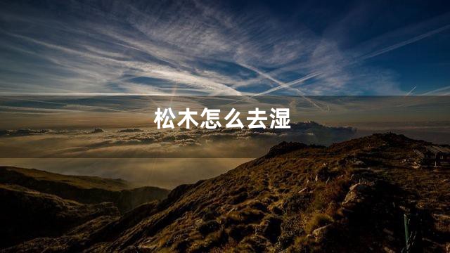 松木怎么去湿