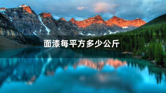 面漆每平方多少公斤