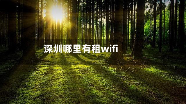 深圳哪里有租wifi