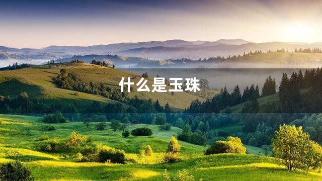 什么是玉珠