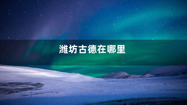 潍坊古德在哪里