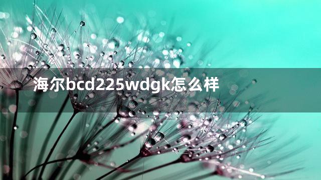 海尔bcd225wdgk怎么样