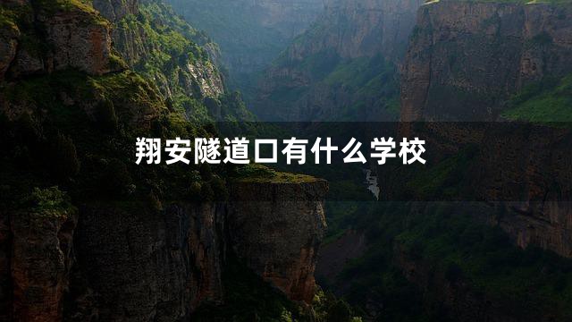 翔安隧道口有什么学校