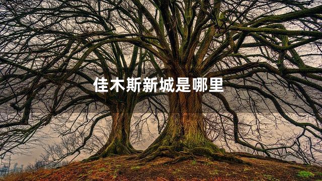 佳木斯新城是哪里