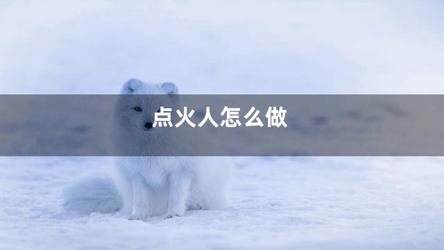 点火人怎么做