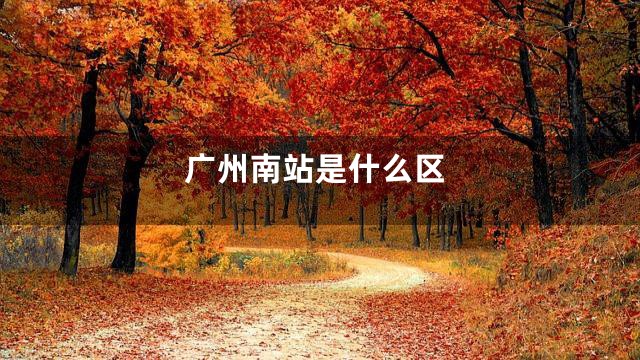 广州南站是什么区