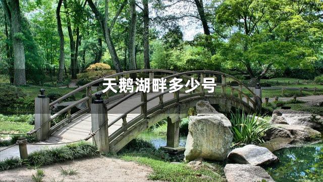 天鹅湖畔多少号
