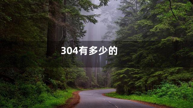 304有多少的
