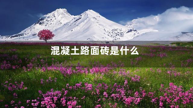 混凝土路面砖是什么