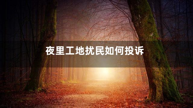 夜里工地扰民如何投诉