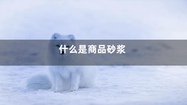 什么是商品砂浆