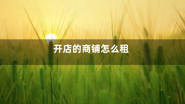 开店的商铺怎么租