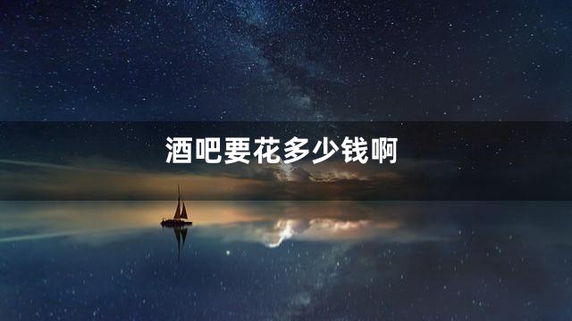 酒吧要花多少钱啊