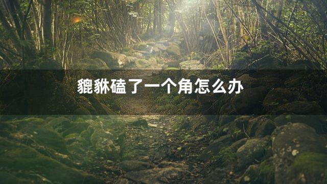 貔貅磕了一个角怎么办