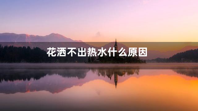 花洒不出热水什么原因